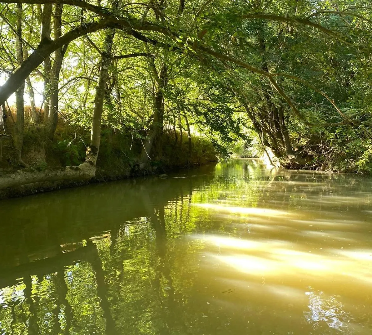 Gite Le Moulin Samsara Homps  Frankreich