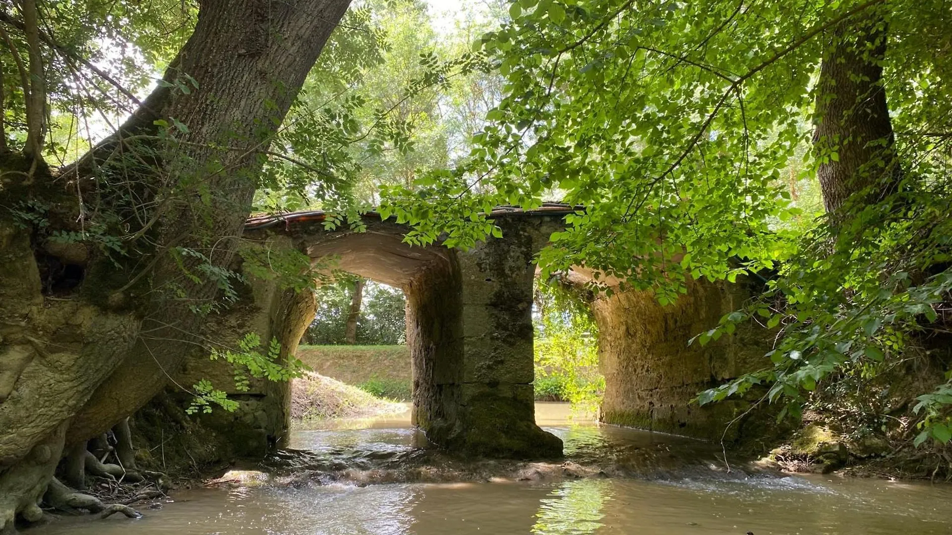 Gite Le Moulin Samsara Homps  Homps (Gers)