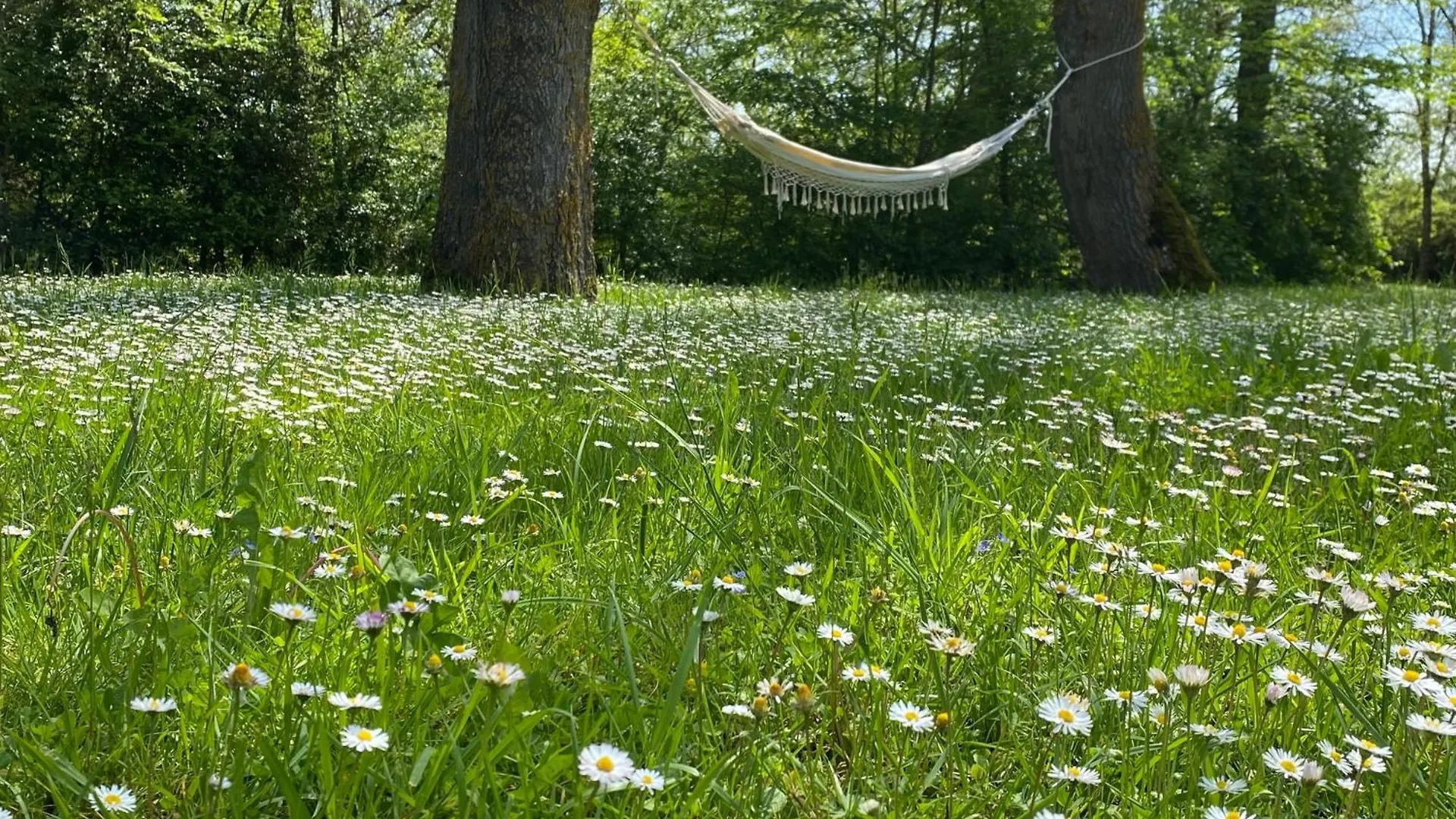 Country house Gite Le Moulin Samsara Homps